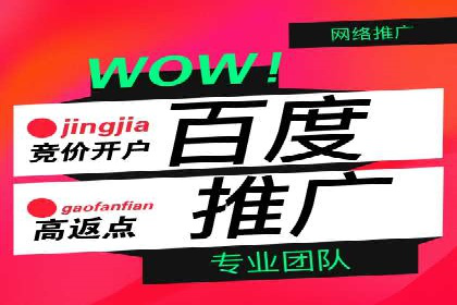 百度SEO推广公司经典之作：打造行业领先品牌